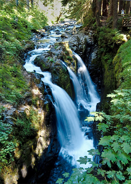 Water Falls - Olympia NP by Al Rollins